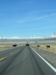 IMG_1716