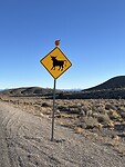 IMG_1687