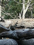 IMG_5970