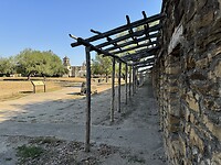 IMG_6628