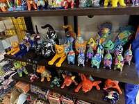 IMG_6657