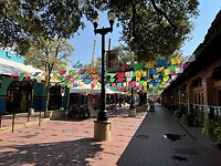 IMG_6659