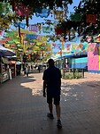 IMG_6663