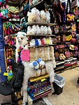 IMG_6664