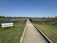 IMG_6759