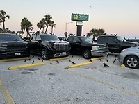 IMG_6771
