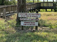 IMG_6747