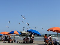 IMG_6817