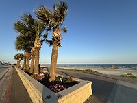 IMG_6839