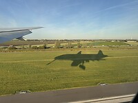 IMG_6911