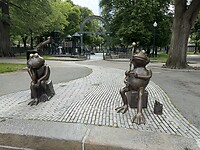 IMG_7896