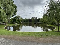 IMG_7889