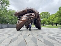IMG_7898