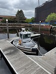 IMG_7943
