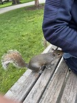 IMG_7997