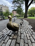 IMG_7895