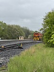 IMG_8242