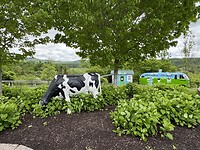 IMG_8267
