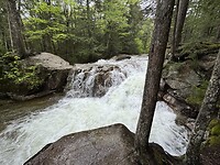 IMG_8288