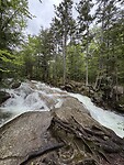 IMG_8290