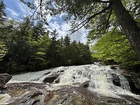 IMG_8302
