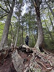 IMG_8303