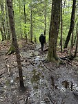 IMG_8304
