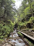 IMG_8314