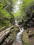 IMG_8319