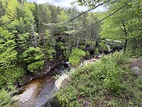 IMG_8336