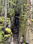 IMG_8342