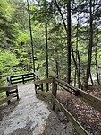 IMG_8344