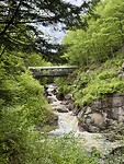 IMG_8346