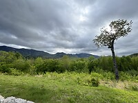 IMG_8364