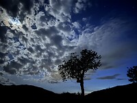 IMG_8474