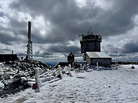 IMG_8446