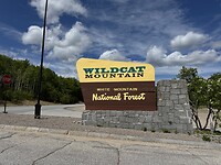 IMG_8429