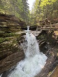 IMG_8396