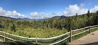 IMG_8389