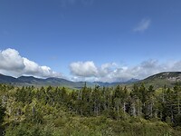 IMG_8388