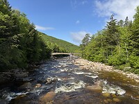 IMG_8382