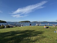 IMG_8557