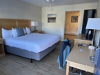 IMG_8550