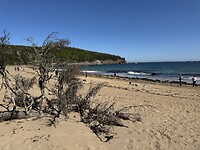 IMG_8544