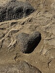 IMG_8540