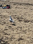 IMG_8539