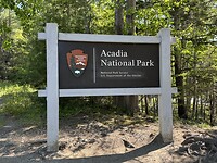 IMG_8530