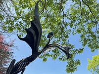 IMG_8524