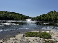 IMG_8488