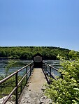 IMG_8486